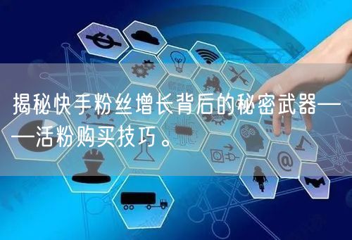 揭秘快手粉丝增长背后的秘密武器——活粉购买技巧。