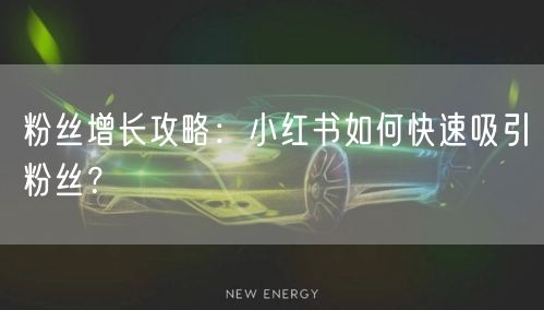 粉丝增长攻略：小红书如何快速吸引粉丝？