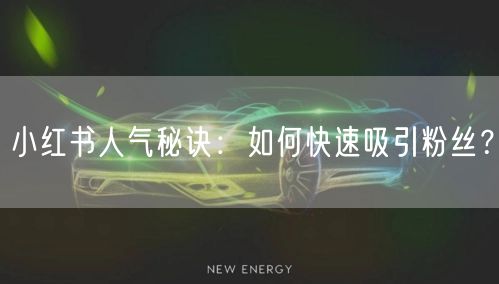 小红书人气秘诀：如何快速吸引粉丝？