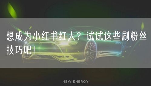 想成为小红书红人？试试这些刷粉丝技巧吧！