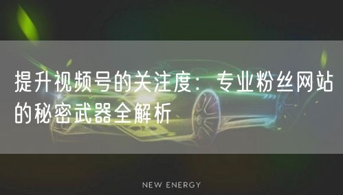 提升视频号的关注度：专业粉丝网站的秘密武器全解析